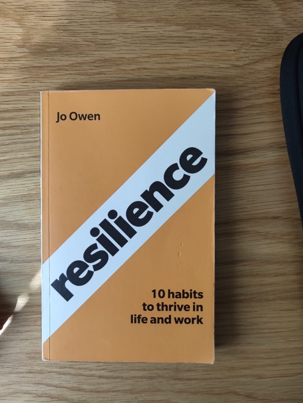 Read more about the article Notes on Resilience: 10 Habits to Sustain High Performance – Jo Owen