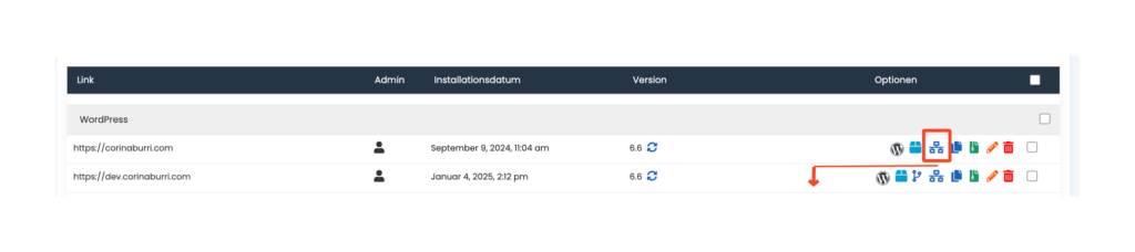 printscreen staging-umgebung erstellen bei cyon